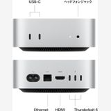 ����̤�����ʡ�Mac mini M4 16GB 256GBSSD/ 10����CPU��10����GPU