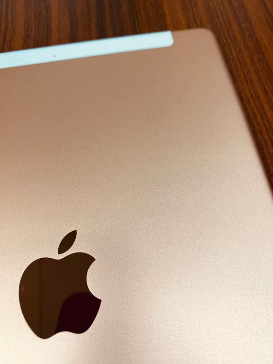 ����100��Apple iPad7 Wi-Fi + Cellular 32GB���������