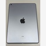 ����89�� iPad (��5����) 128GB ���ڡ������졡WIFI��