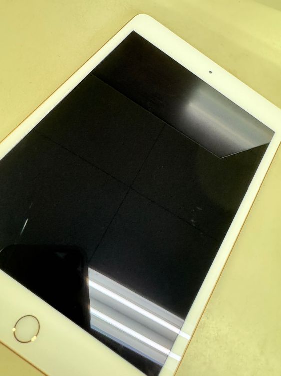 ڥХBOX88 SIMե꡼ iPad mini 5 256GB