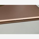 ���� ����94% SIM�ե꡼ apple iPad mini (�裵����)  256GB �������