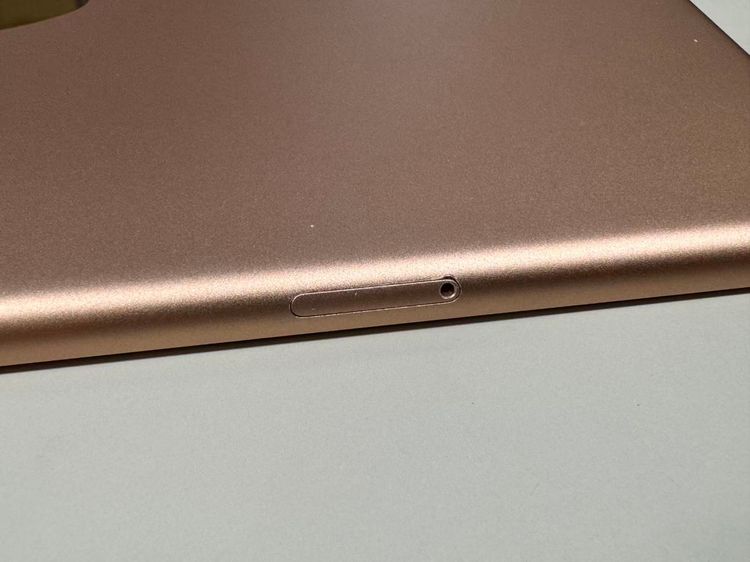 ���� ����94% SIM�ե꡼ apple iPad mini (�裵����)  256GB �������