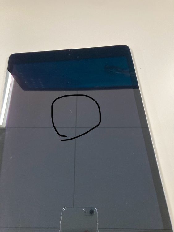 Apple iPad ��9���� Wi-Fi + Cellular 256GB ����С� ������