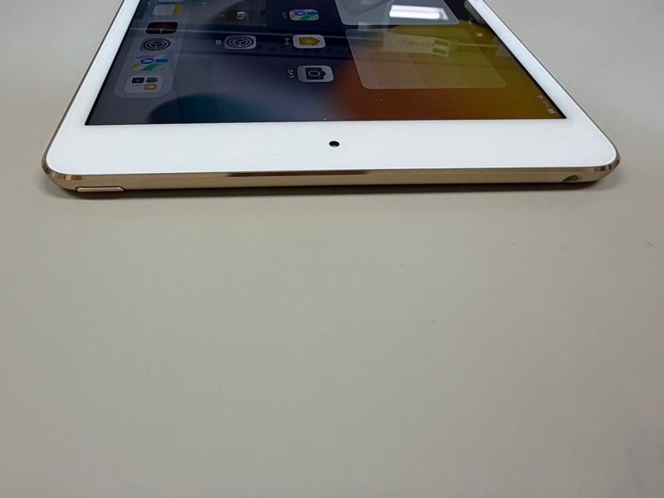 ���� ��iPad mini(��4����) 64GB  �������