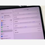 ������ ����100%��SIM�ե꡼ iPad Pro 13 ����� (M4) 256GB �֥�å�