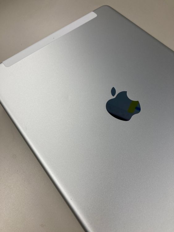 Apple iPad ��9���� Wi-Fi + Cellular 256GB ����С� ������