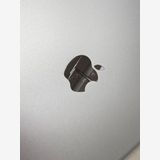 ���� ����100�� SIM�ե꡼ iPad ��9���� 64GB ����С�