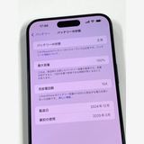 ڥХBOXۿƱ 100SIMե꡼ iPhone15 Pro Max 256GB