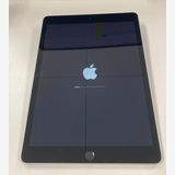 Apple iPad ��9���� Wi-Fi + Cellular 256GB ����С� ������
