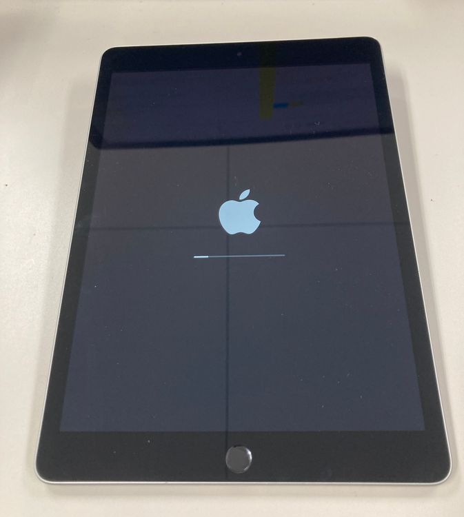 Apple iPad ��9���� Wi-Fi + Cellular 256GB ����С� ������