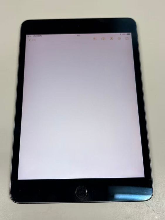 apple iPad mini(��5����)  256GB  ���ڡ�������