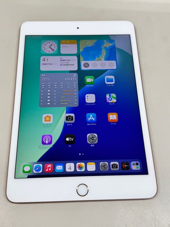ڥХBOX88 SIMե꡼ iPad mini 5 256GB