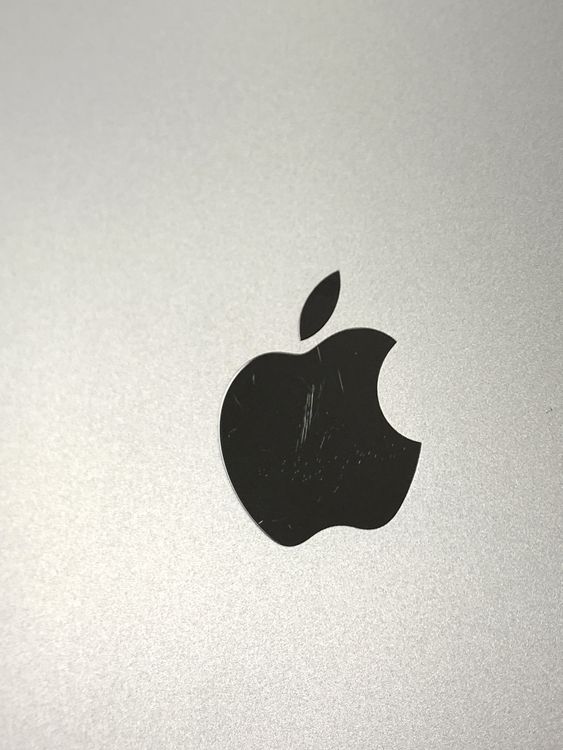����88�� SIM�ե꡼iPad mini(A17 Pro) Cellular 256GB �֥롼