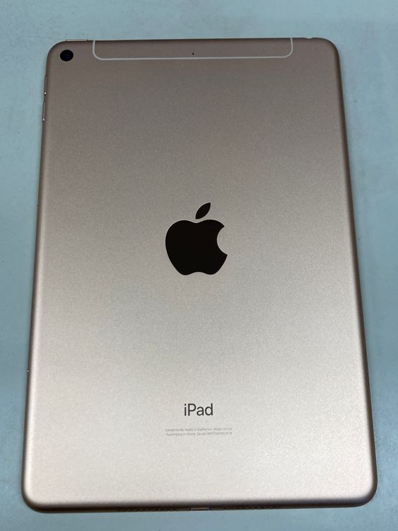  87 SIMե꡼ Apple iPad mini 5 64GB 