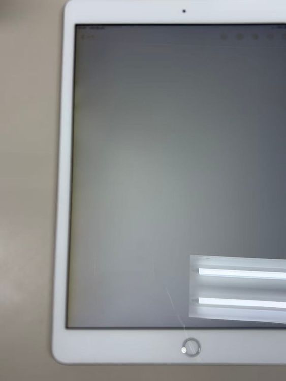 ���� ����50% SIM�ե꡼iPad (��8����) 32GB ����С�