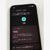 ڥХBOX۶ 100%SIMե꡼ Google Pixel 9 Pro 128GB