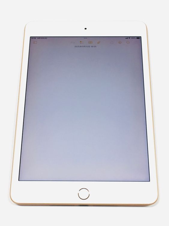 ڥХBOX 84 SIMե꡼ iPad mini 5 64GB 