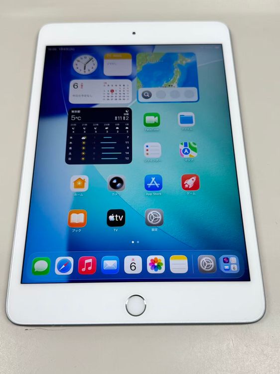 ���� ����100�� iPad mini (�裵����) 256GB Wi-Fi ��ǥ� ����С�