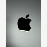 ������ ����100% SIM�ե꡼iPad (��9����)   256GB ����С�