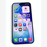 �ڥ�Х���BOX�ۿ���Ʊ�� ����87��SIM�ե꡼ iPhone15 Plus 256GB �֥롼