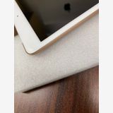 ����100��Apple iPad7 Wi-Fi + Cellular 32GB���������