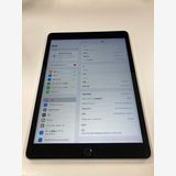 Apple iPad ��9���� Wi-Fi + Cellular 256GB ����С� ������