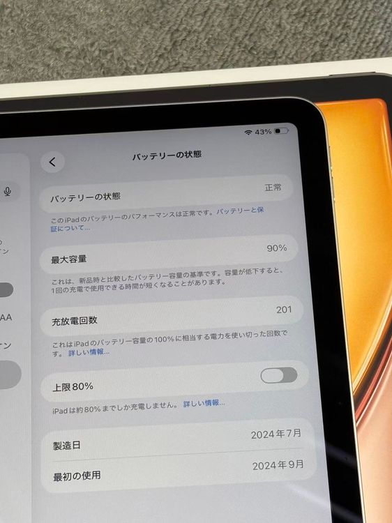 ������ iPad Air 11�������M2����6���� 256GB �������饤��