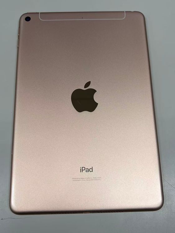 ����79% SIM�ե꡼iPad mini(��5����)  256GB �������