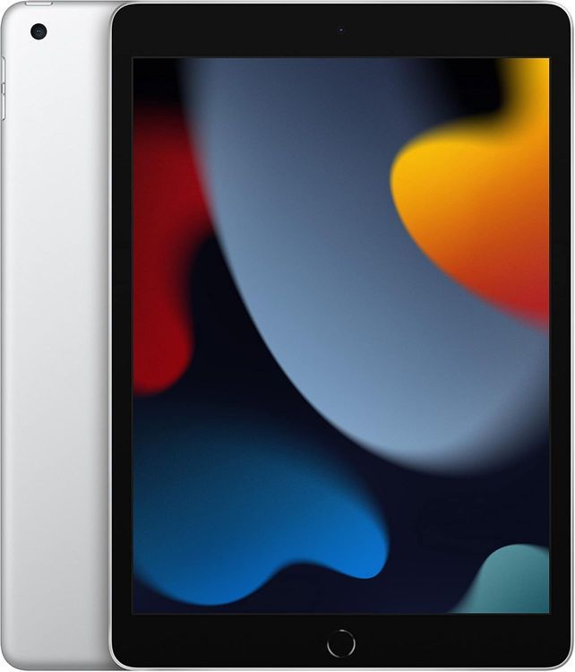  ̤ʡapple iPad (9) 256GB С