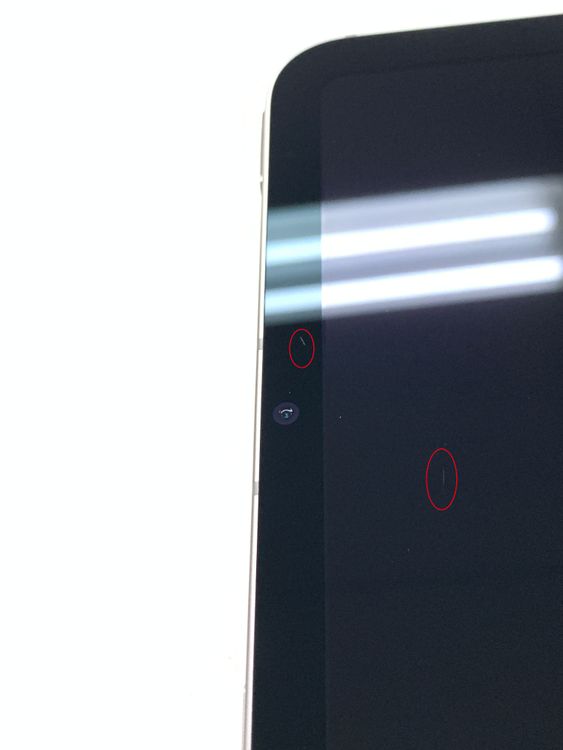 ����98�� SIM�ե꡼iPad mini(A17 Pro) Cellular 256GB ���쥤