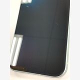 ڥХBOXSIMե꡼Google Pixel 9 128GB WinterGreen