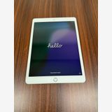 ��������Apple iPad ��7���� Wi-Fi 128GB �������