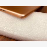 ����100��Apple iPad7 Wi-Fi + Cellular 32GB���������