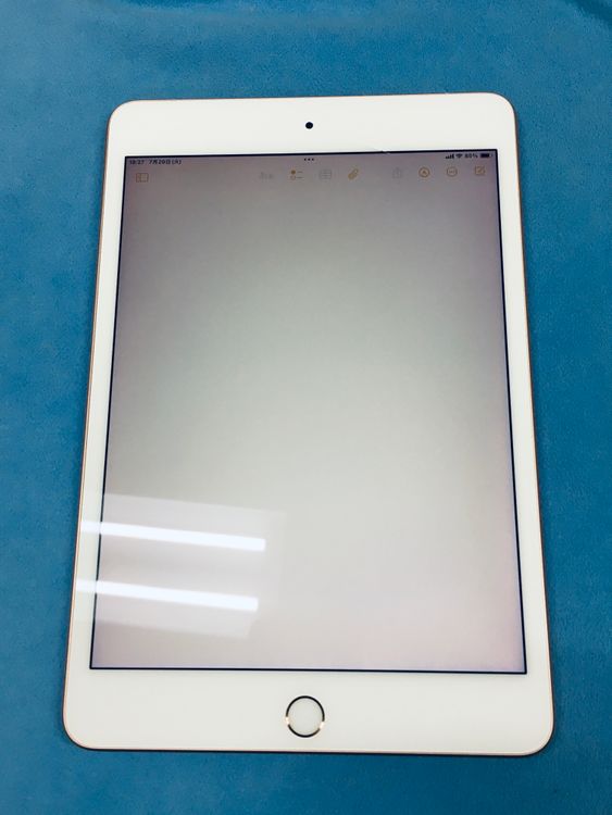 ڥХBOXư SIMե꡼ Apple iPad mini 5 256GB