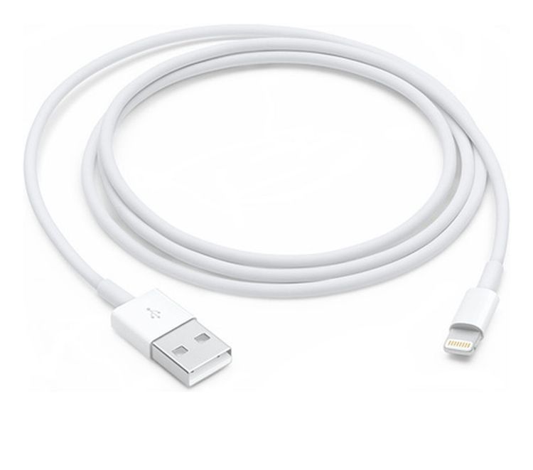 ��Х���BOX��apple������ Lightning - USB�����֥��1 m��100�ܥ��å�