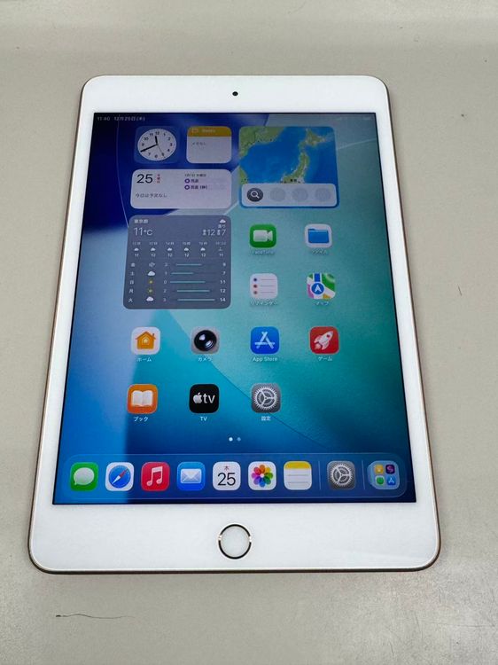 ���� ����94% SIM�ե꡼ apple iPad mini (�裵����)  256GB �������