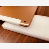 ����100��Apple iPad7 Wi-Fi + Cellular 32GB���������