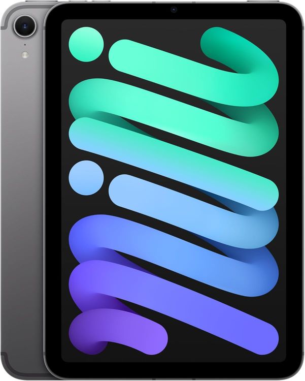 ����Ʊ�� ����100�� iPad mini(A17 Pro) 128GB�����ڡ������쥤