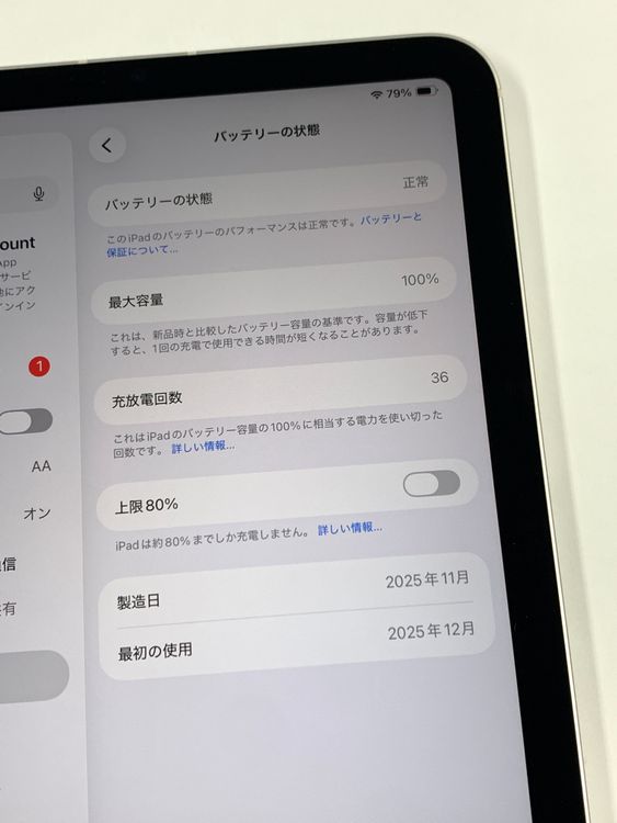 ����100�� SIM�ե꡼iPad mini(A17 Pro) 128GB �������饤��