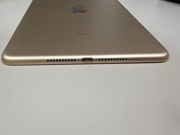 ������ ����71% iPad mini(��4����)  128GB �������