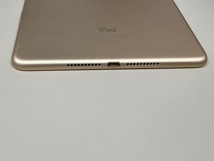 ������ ����79% SIM�ե꡼iPad mini (��4����) 128GB �������