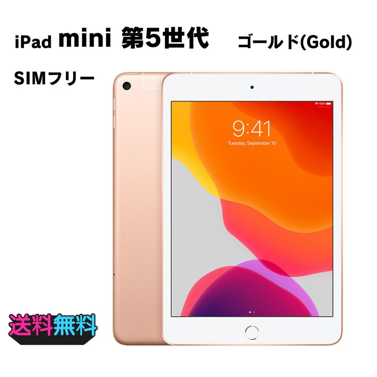ڥХBOX 85 SIMե꡼ Apple iPad mini 5 64GB