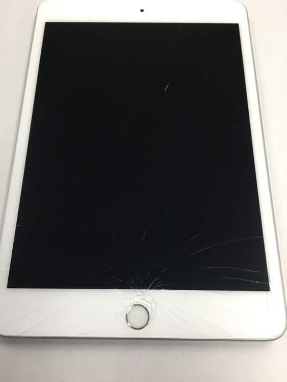 �ڲ��̳�졦ư��ġ� ����100�� iPad mini 5 SIM�ե꡼ 256GB ����С�