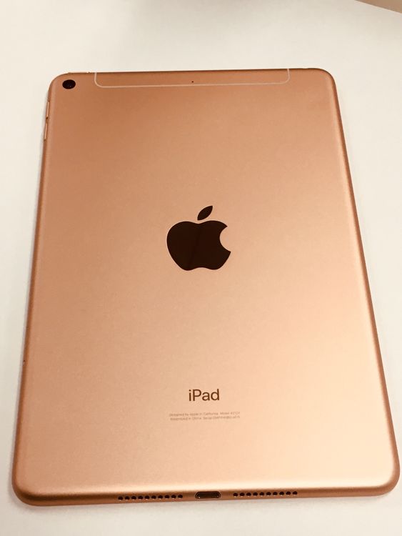 �ڥ�Х���BOX������ ����83�� iPad mini 5 SIM�ե꡼ 64GB �������