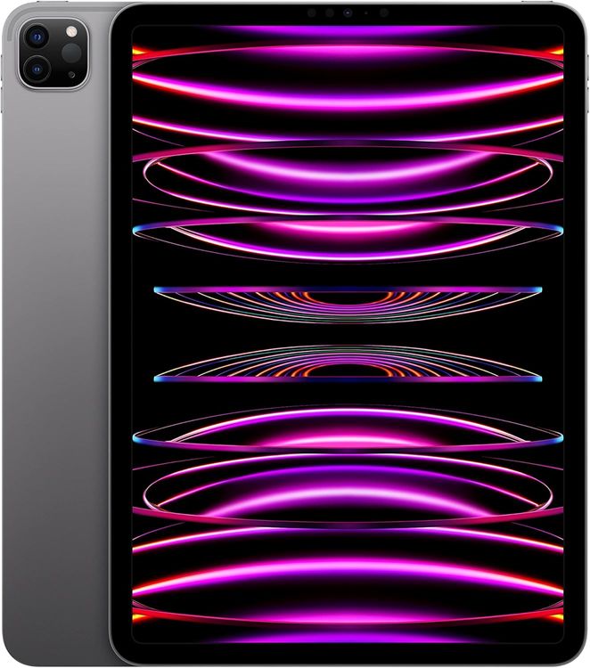 ̤������ SIM�ե꡼ iPad Pro 11���������4����� 256GB�����ڡ�������