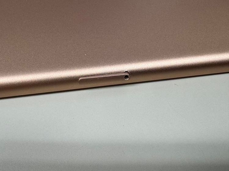 ���� ����94% SIM�ե꡼ apple iPad mini (�裵����)  256GB �������