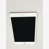 ڥХBOXư SIMե꡼ Apple iPad mini 5 256GB
