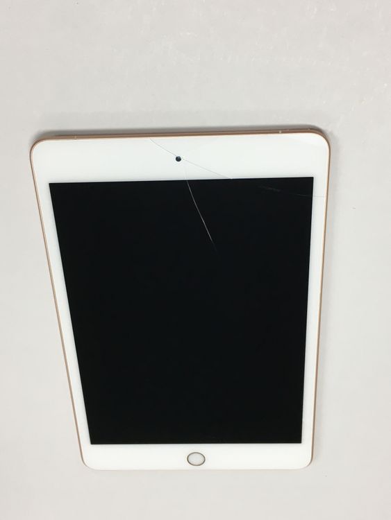 ڥХBOXư SIMե꡼ Apple iPad mini 5 256GB