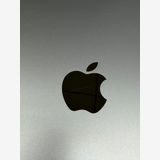 ���� ����84% SIM�ե꡼iPad (��9����) 64GB ����С�