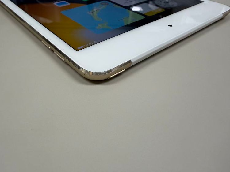 ����76% SIM�ե꡼iPad mini (��4����) 128GB �������